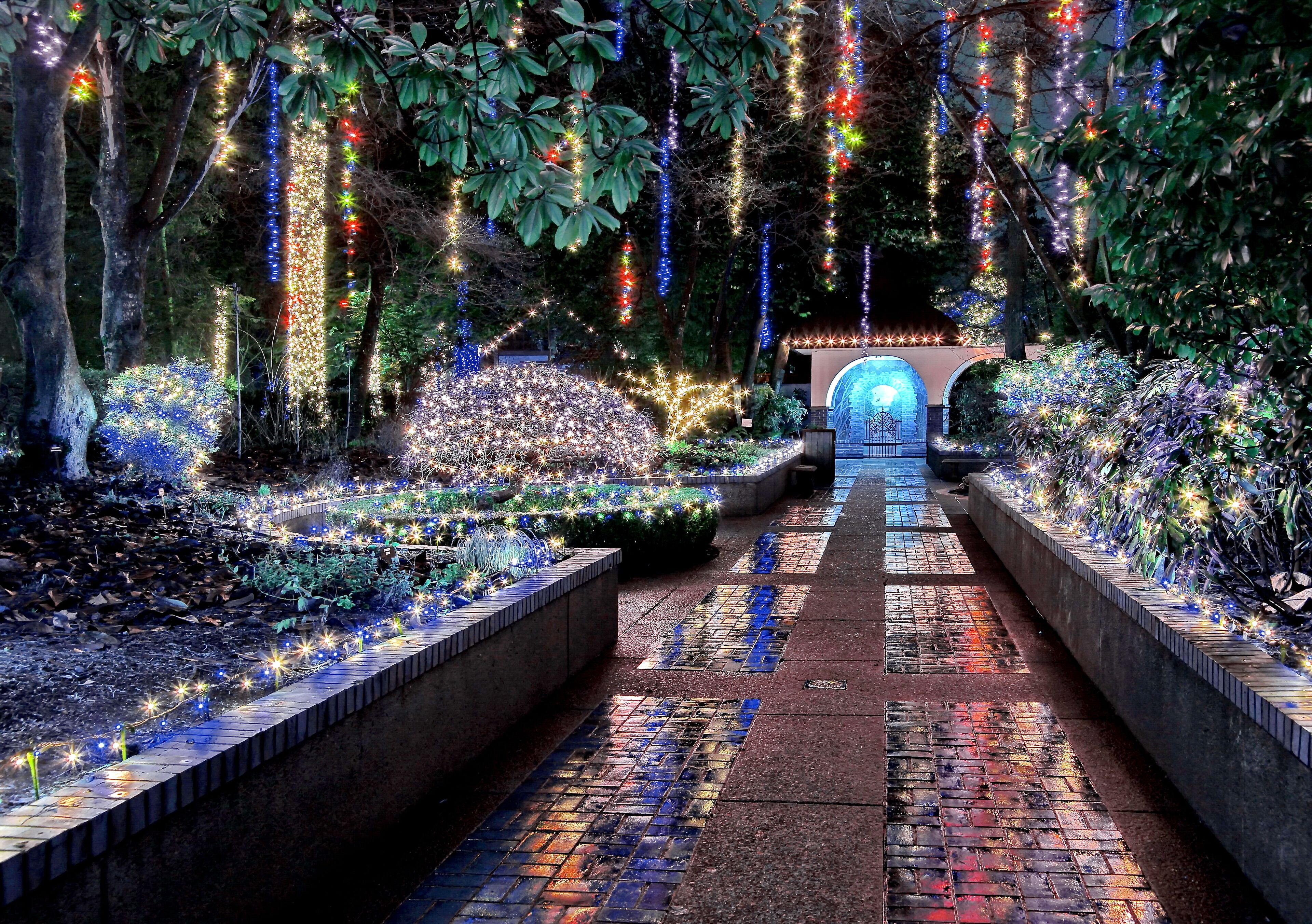 Christmas illuminations in the park at night during a light rain, Beautiful reflection of illumination on a wet surface, Tilford Gardens, North Vancouver