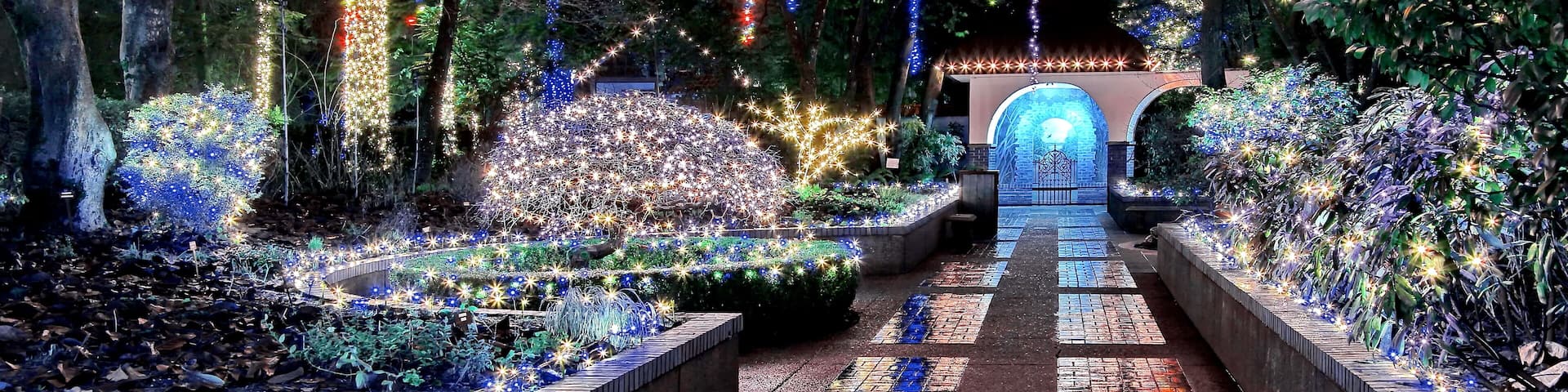 Christmas illuminations in the park at night during a light rain, Beautiful reflection of illumination on a wet surface, Tilford Gardens, North Vancouver