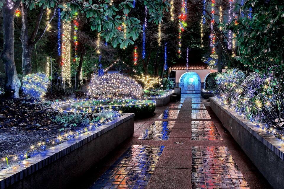 A pathway lined with illuminated plants and trees, leading to a tunnel entrance.