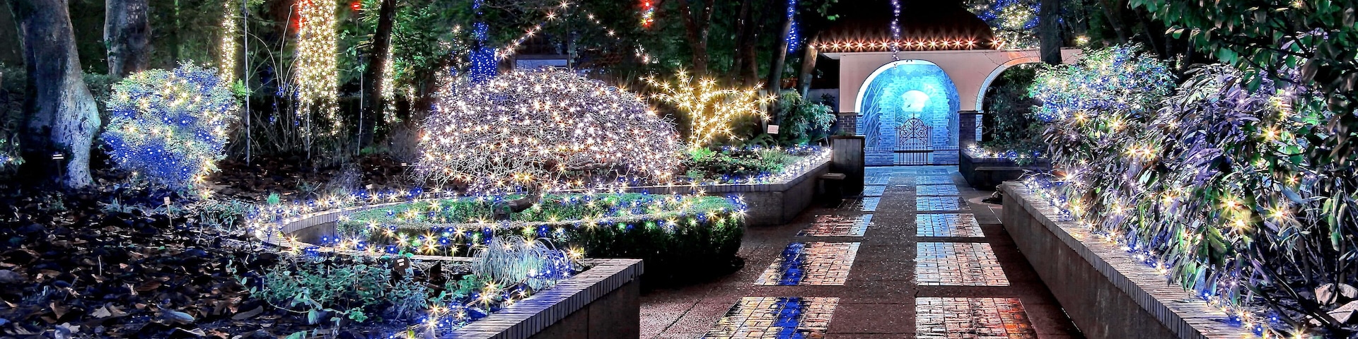 Christmas illuminations in the park at night during a light rain, Beautiful reflection of illumination on a wet surface, Tilford Gardens, North Vancouver
