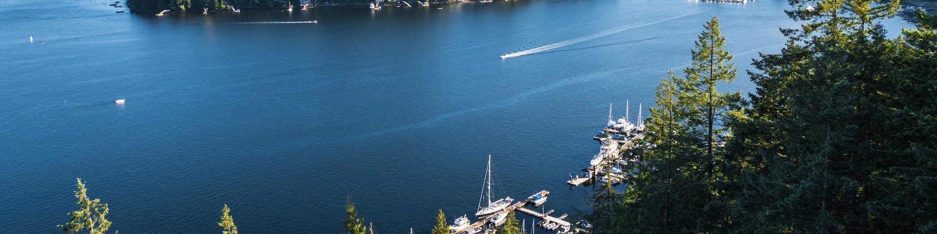 A large body of water surrounded by dense forest and a small island with houses.