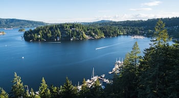 Deep Cove