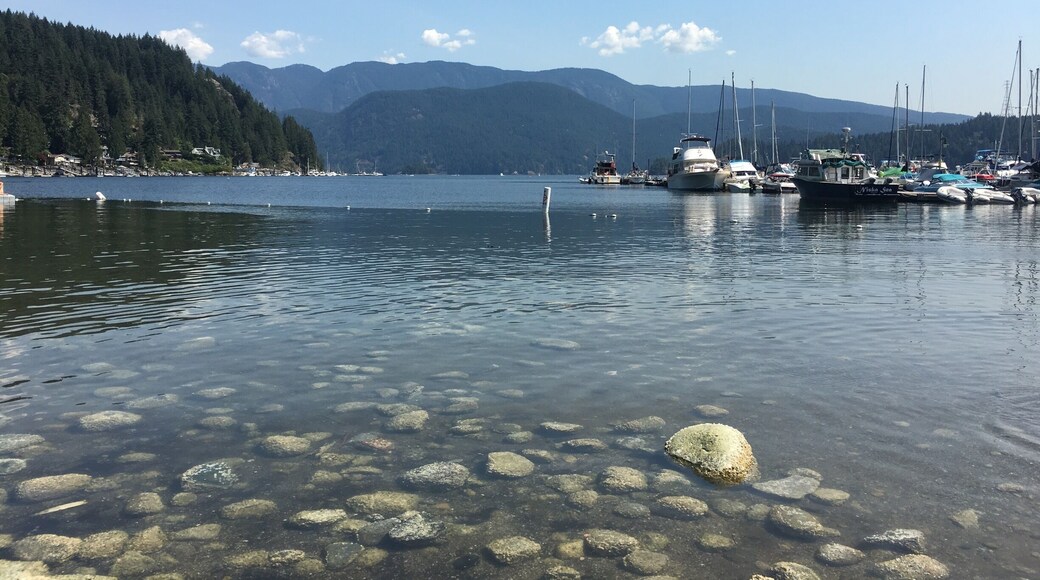 Beautiful spot with a place to rent kayaks!
The town is very very small but there are a few cute restaurants and shops!