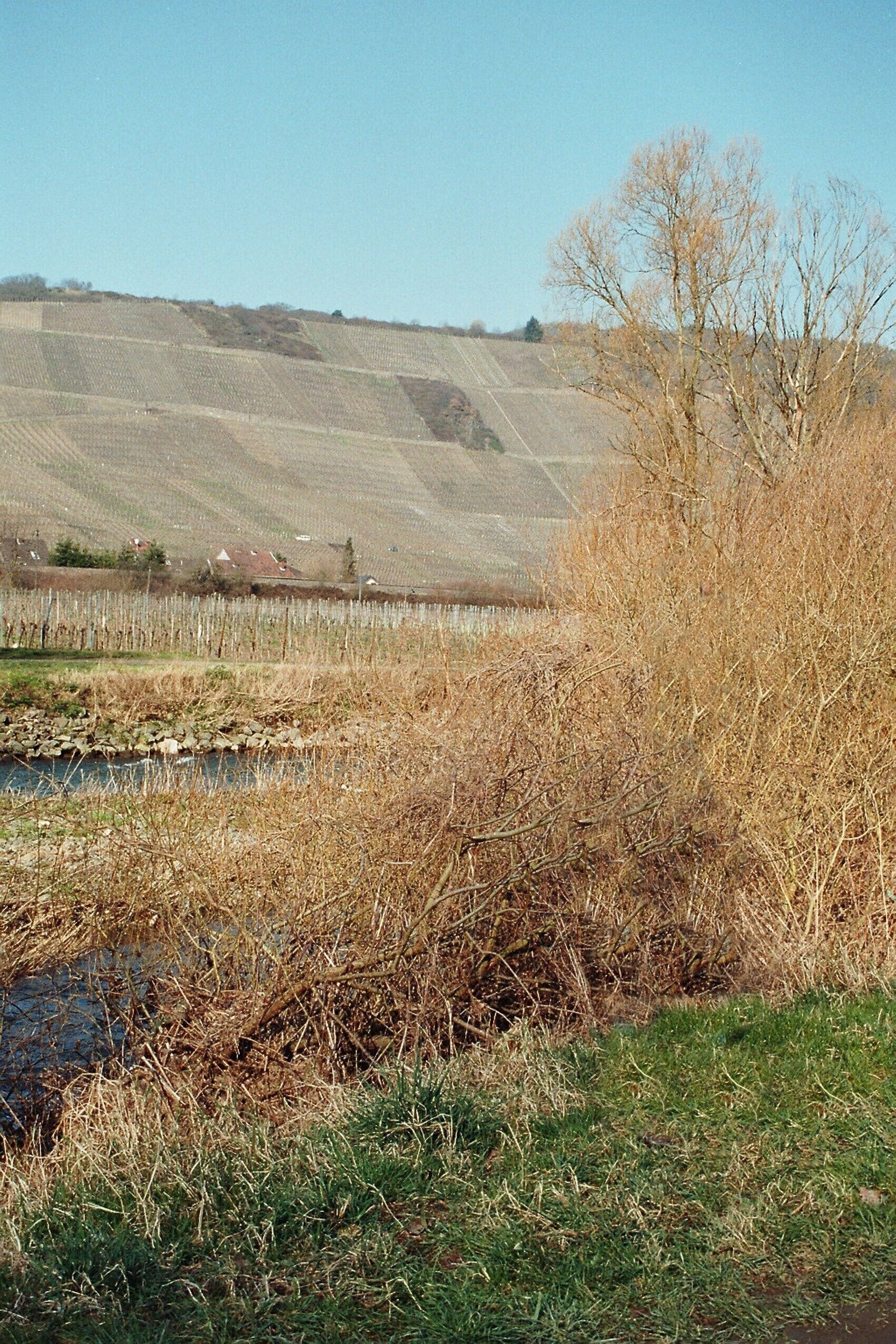 Rech, the valley of the Ahr