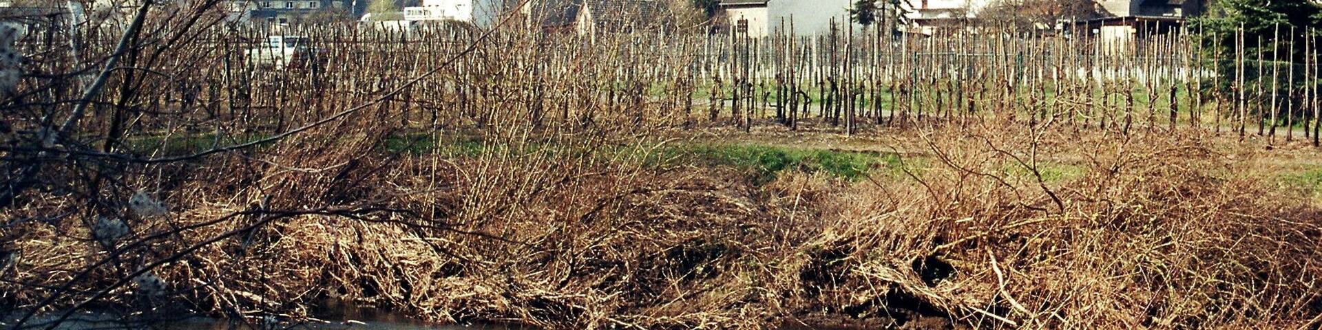 Rech, view to village