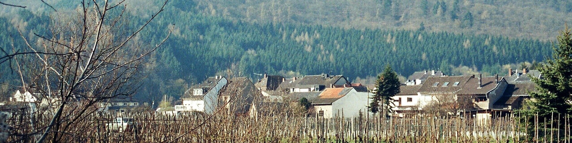 Rech, view to village