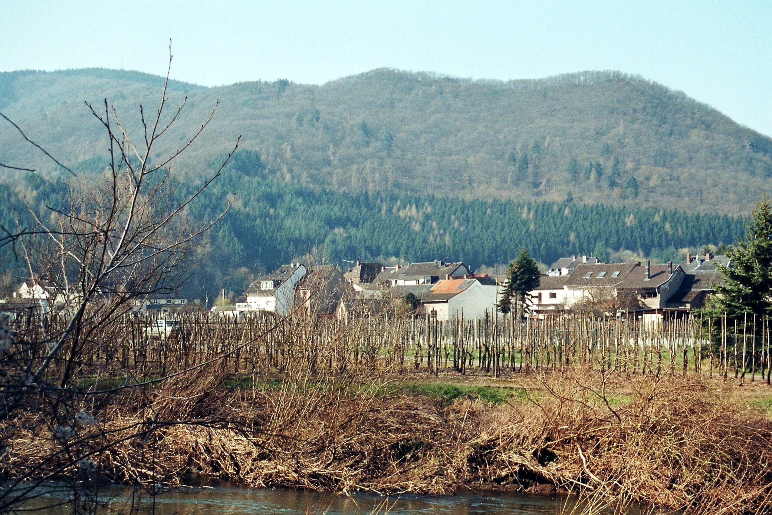A river with a forested hill in the background and houses along the riverbank.