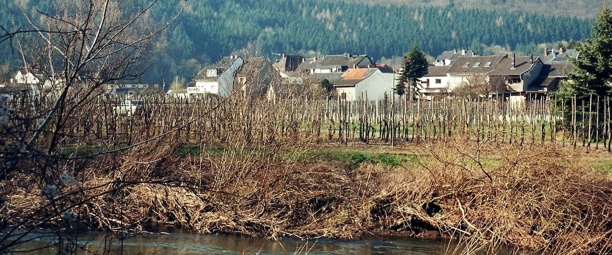 A river with a forested hill in the background and houses along the riverbank.