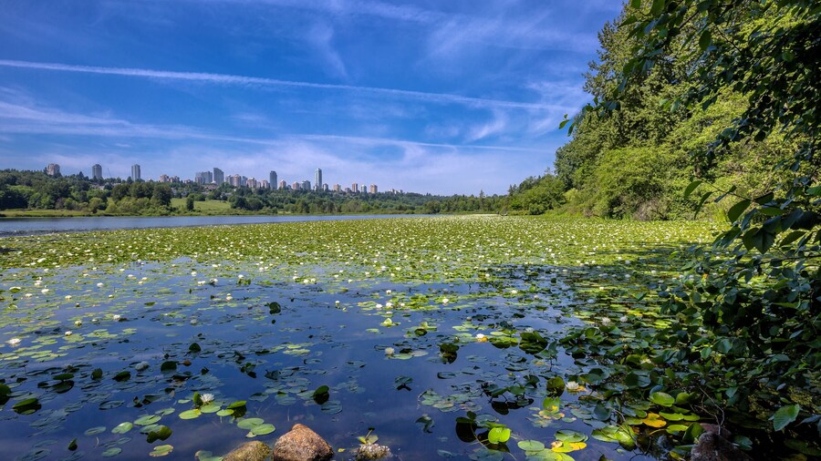 Burnaby Lake Park