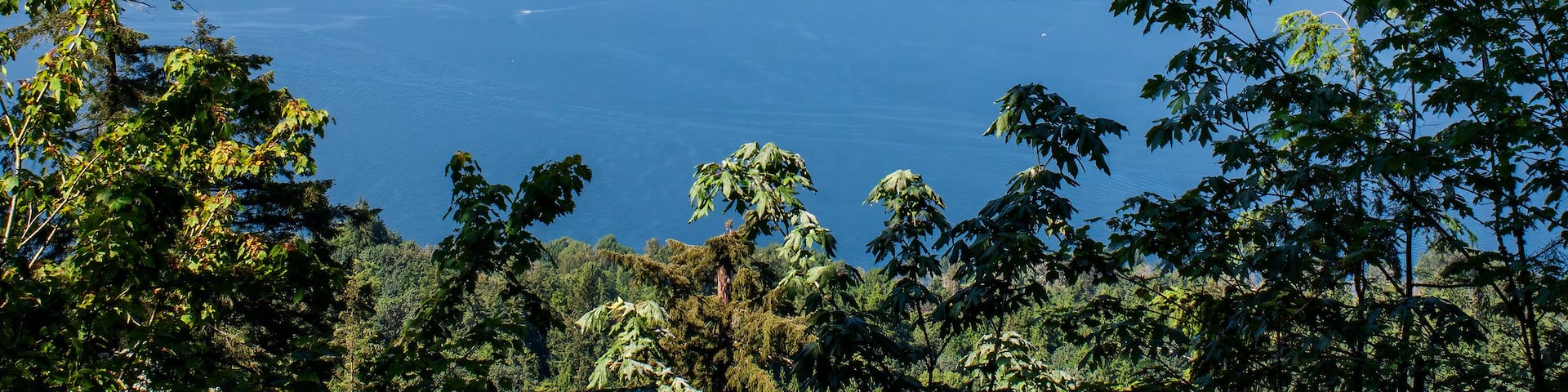 Burnaby Mountain Conservation Area in British Columbia, Canada