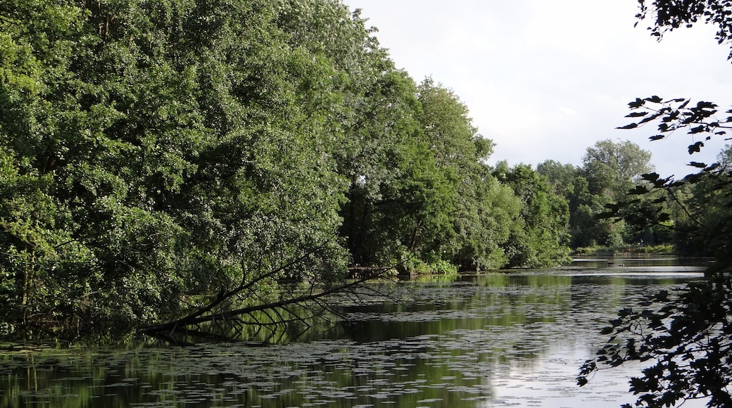 "Niepkuhlen" nature protected area near Krefeld, Gernany