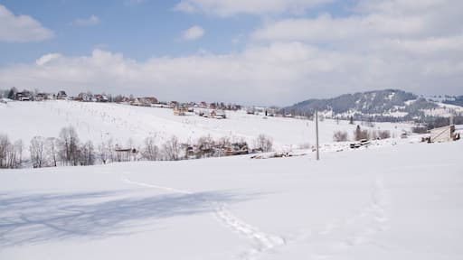 Mountain village with ski lift on the slope of the hill.