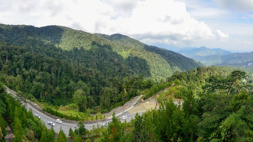 Curve road up to the Genting Highlands Malaysia with green tree and sky at Bentong Pahang.