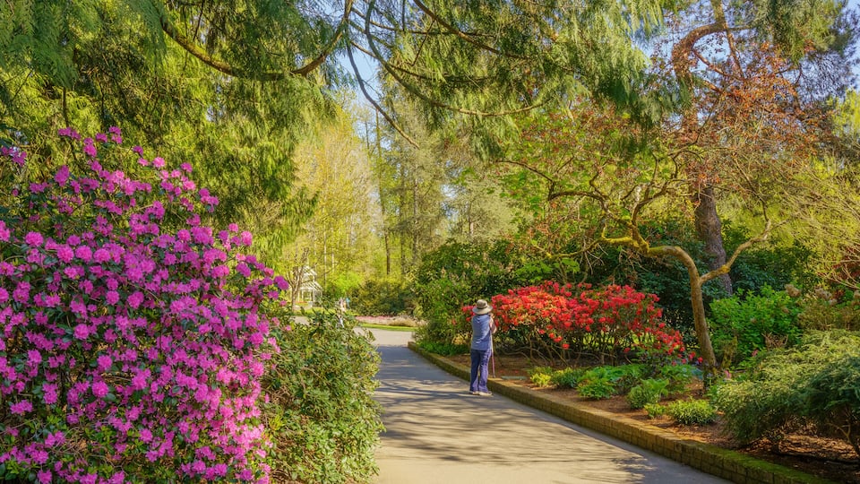 Woman admiring Spring gardens at Bear Creek Park, Surrey, BC, Canada.
