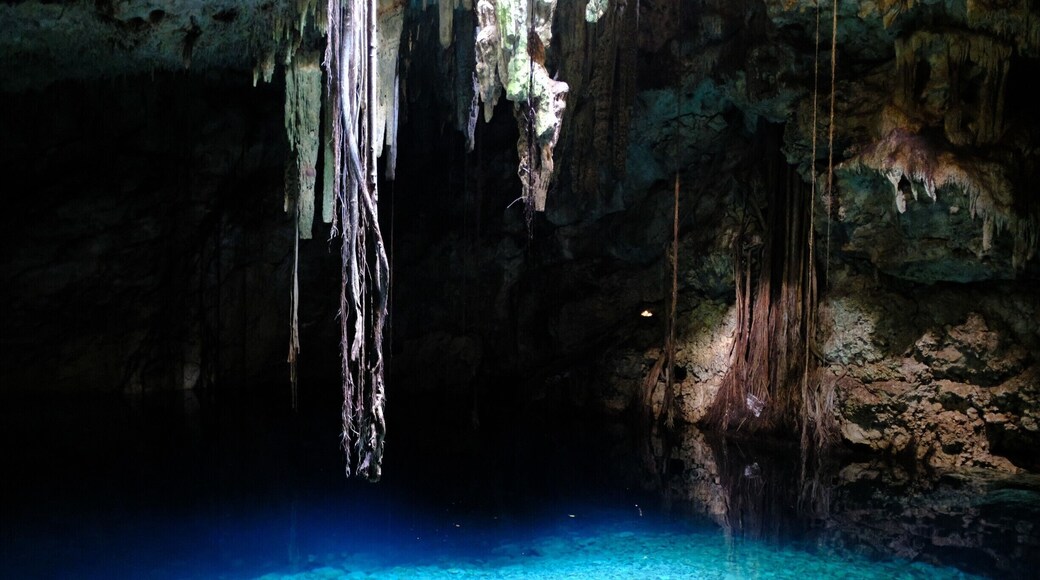 Exploring the cenotes at Cuzama by horse drawn mining cart