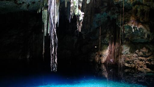 Exploring the cenotes at Cuzama by horse drawn mining cart