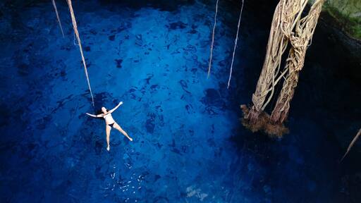 Cuama's Cenotes
Suppressing the similarities to the caving horror film ‘The Ascent’, this cenote is very special and very creepy. You will approach an incredible tree that may or may not come alive at night. There will be a steep ladder you will not want to climb down backwards. You will. Make your way through the stalactites and stalagmites to a body narrow body of water at the end of the stairs. You will not want to get into the black water but you will. It’s ‘fresh’ not cold, apparently. Also very deep, but do not think about that as flashbacks from The Ascent will absolutely kick in. You will swim for about 10 meters and climb back out of the blackness, unscathed. Make your way back to your belongings and smile as the next cenotes are much less creepy!