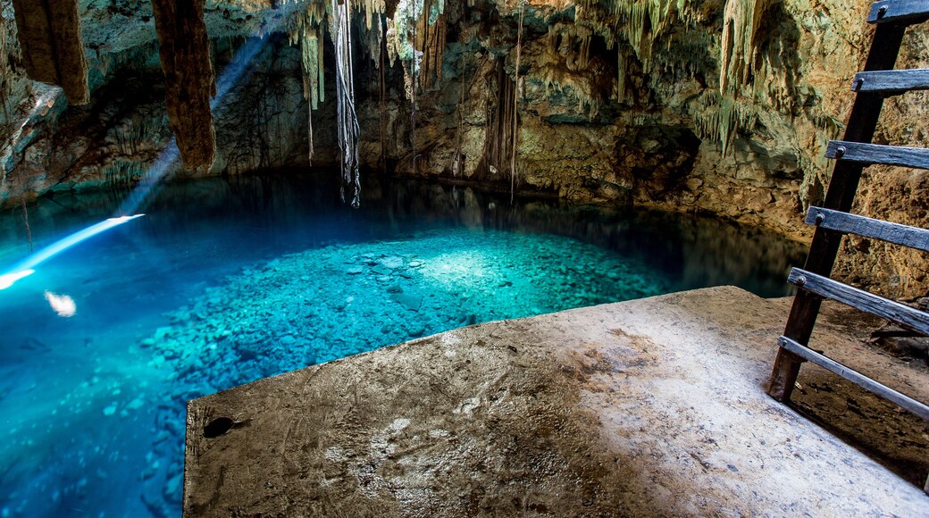 Cenotes in Cuzama, Mexico