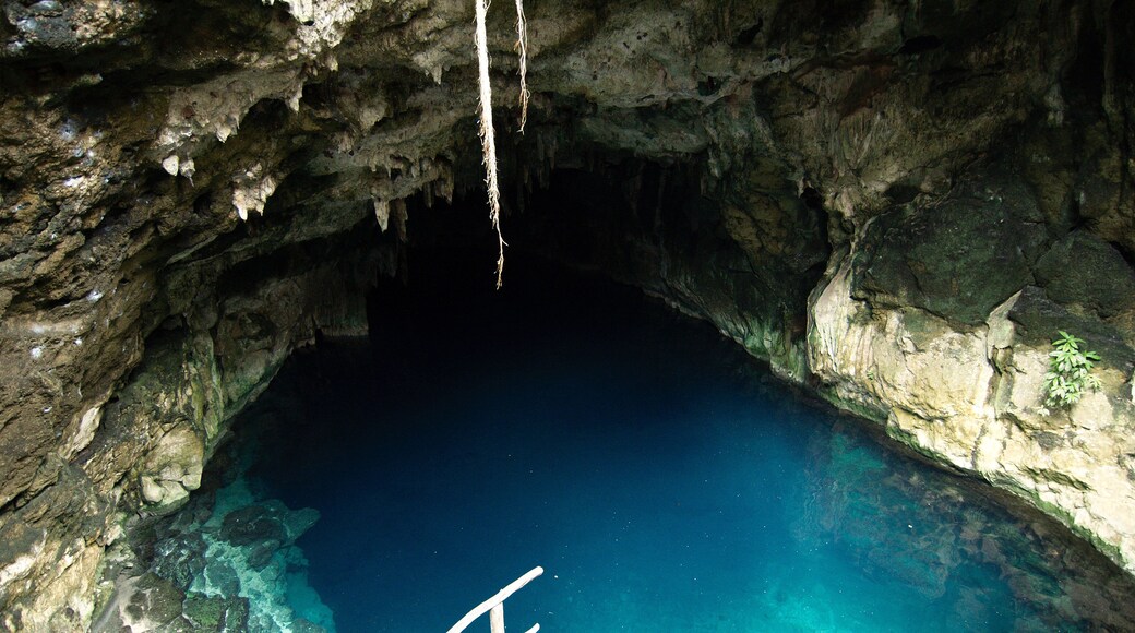 Top view of an underground river sinkhole, known as "cenote", in Cuzama, Yucatan, Mexico.