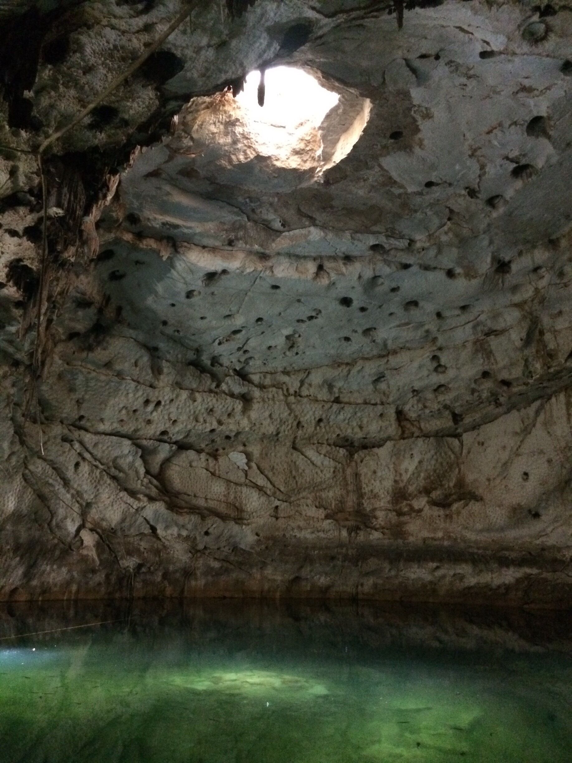 Una de los Cenotes cerca de Cuzama y Homun 
