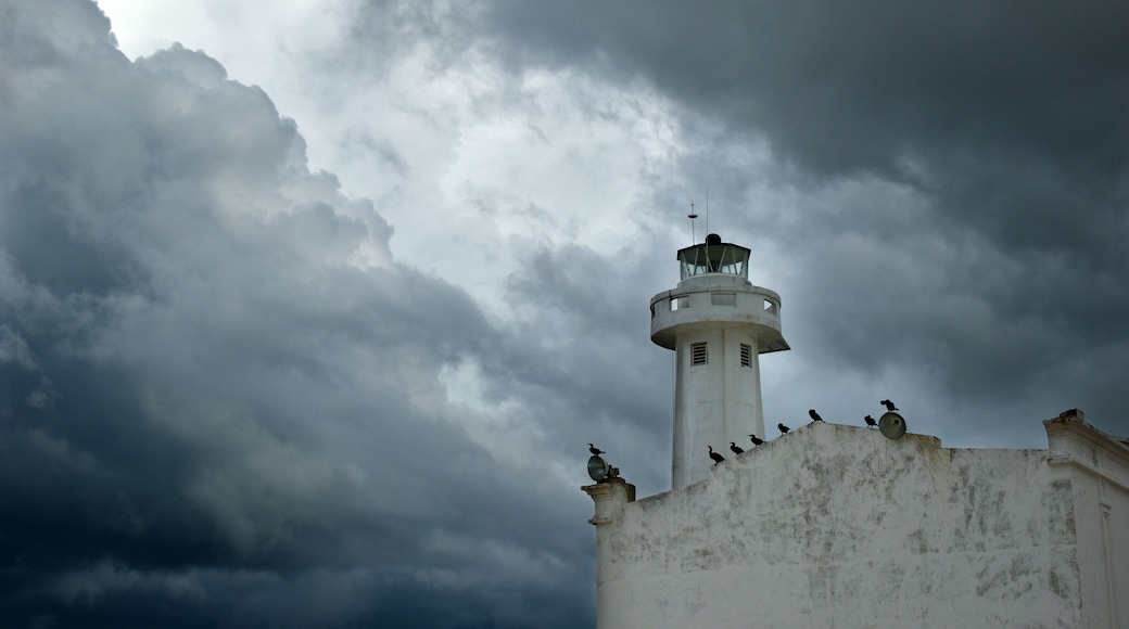 ํ
์ฐจํฌ ํธ์๋ฅดํ