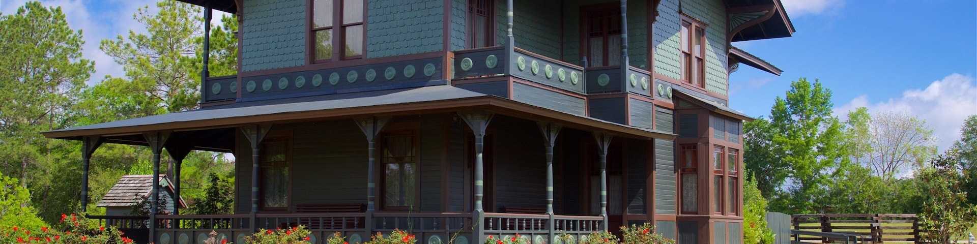 Georgia Museum of Agriculture and Historic Village showing a house and wildflowers