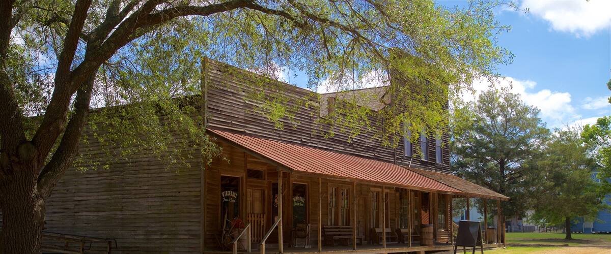 Georgia Museum of Agriculture and Historic Village das einen Geschichtliches