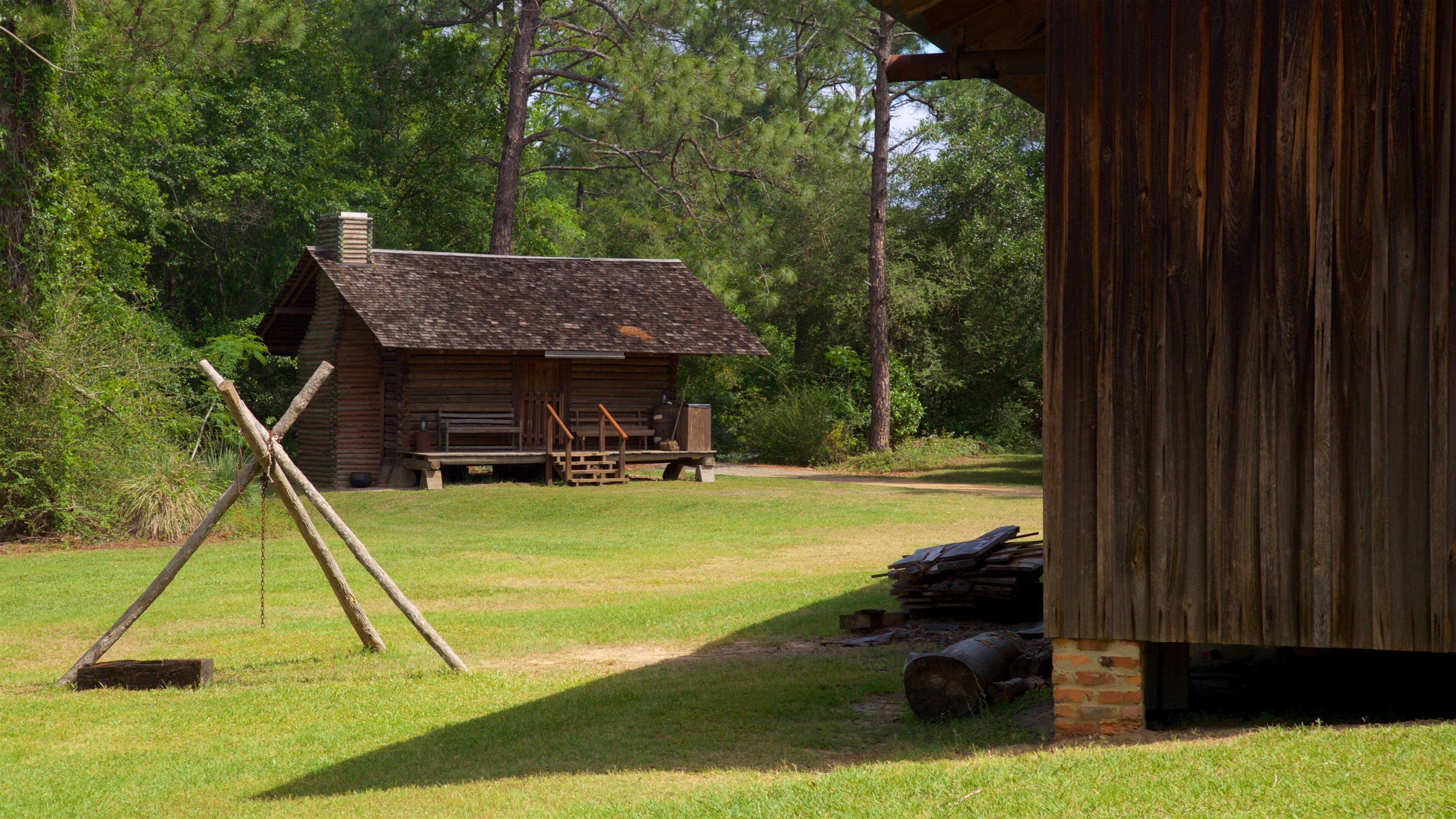 Pueblo Histórico y Museo de Agricultura de Georgia mostrando elementos patrimoniales