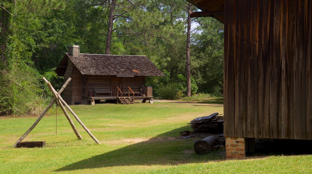 Pueblo Histórico y Museo de Agricultura de Georgia mostrando elementos patrimoniales