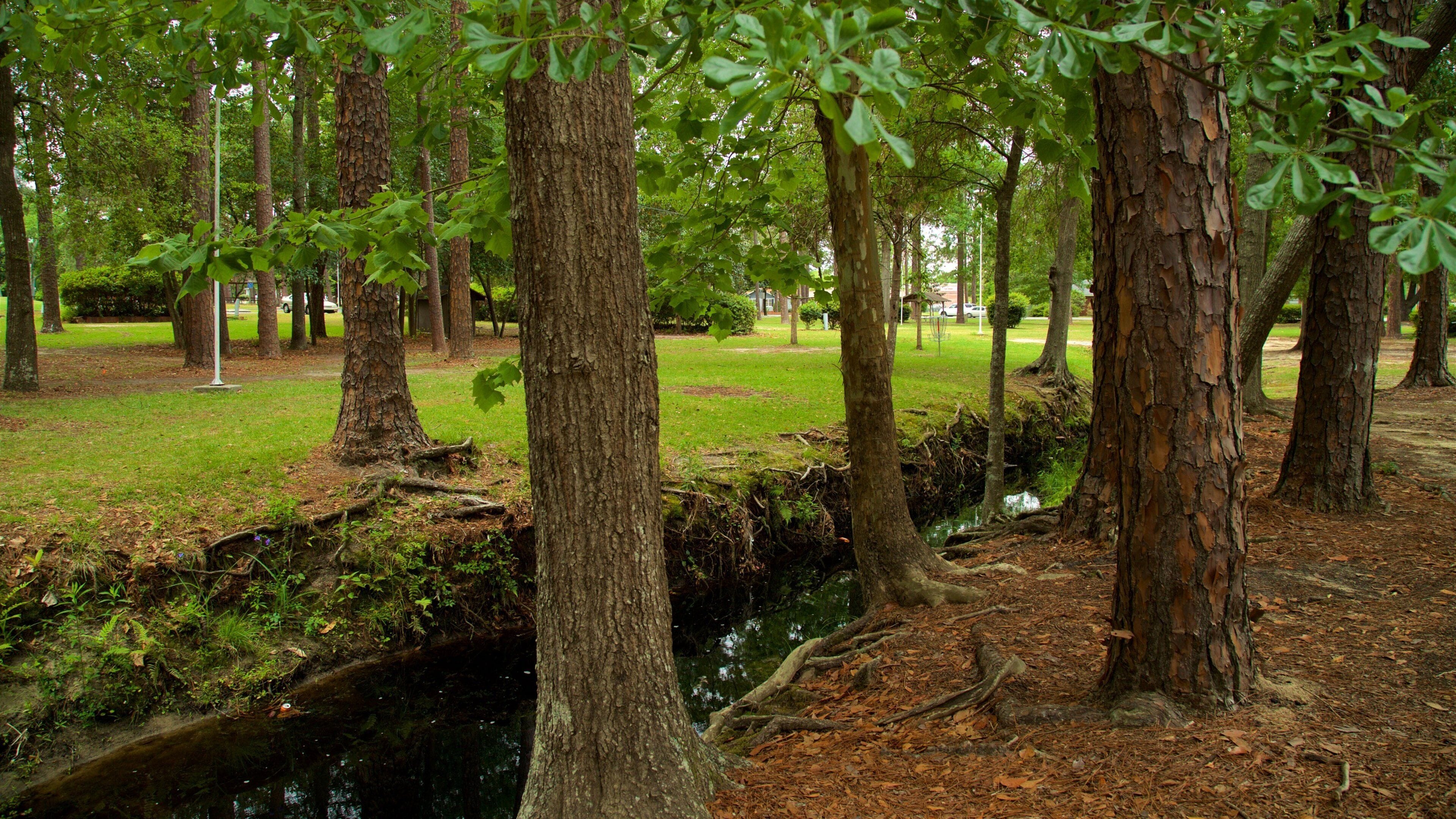 Parque Fulwood ofreciendo un río o arroyo y un jardín
