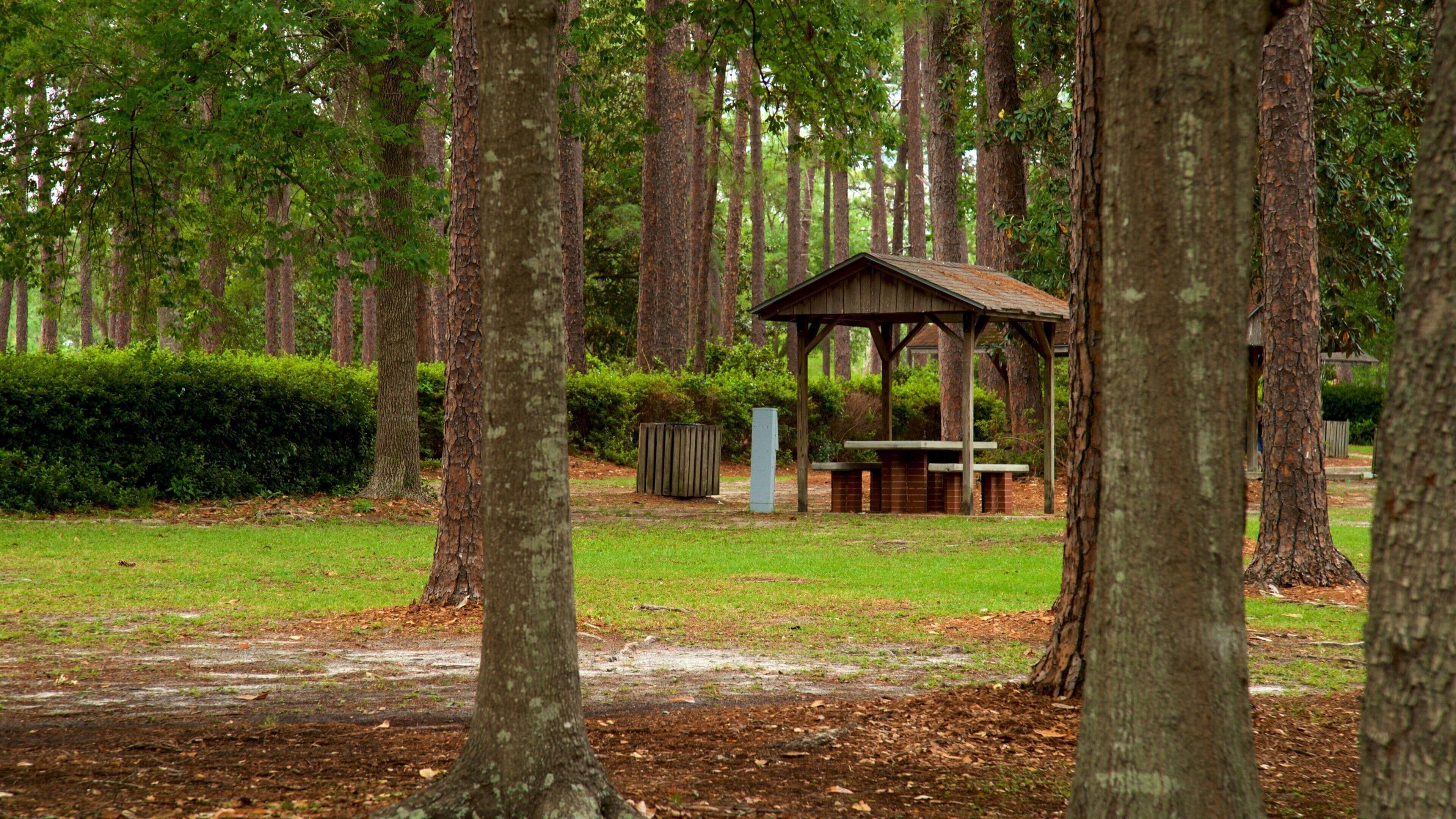 Fulwood Park featuring a garden