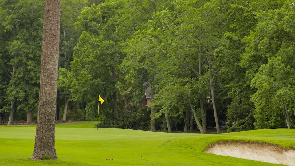 Arcadian Shores Golf Club featuring golf