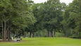 A golf course with a golf cart and a person standing by it, surrounded by dense trees.