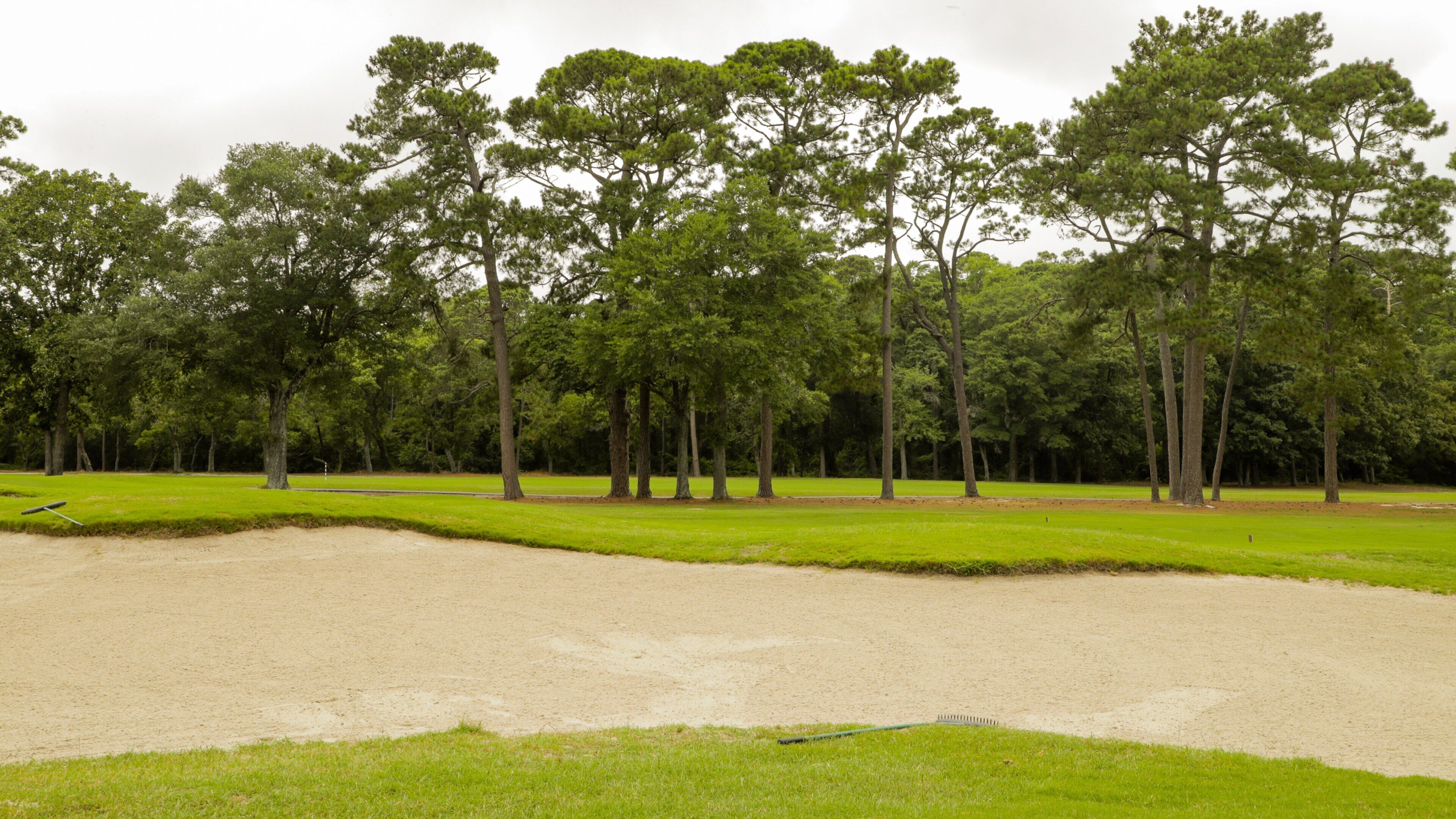 Arcadian Shores Golf Club featuring a beach and golf