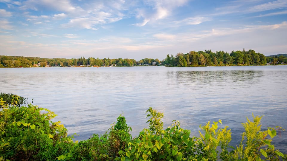 A calm lake with a forested shoreline and a clear sky.