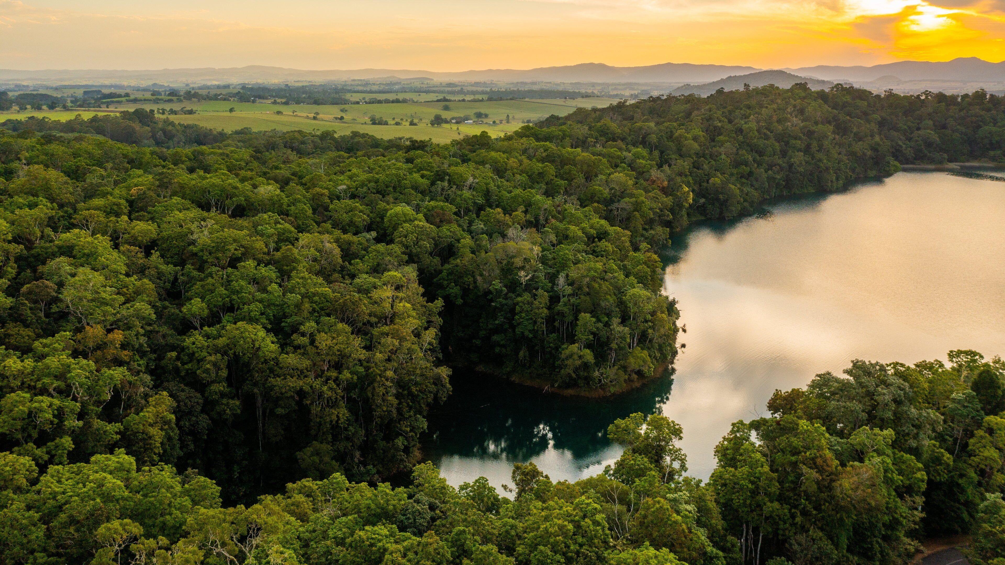 A dense forest surrounding a calm lake with distant hills.