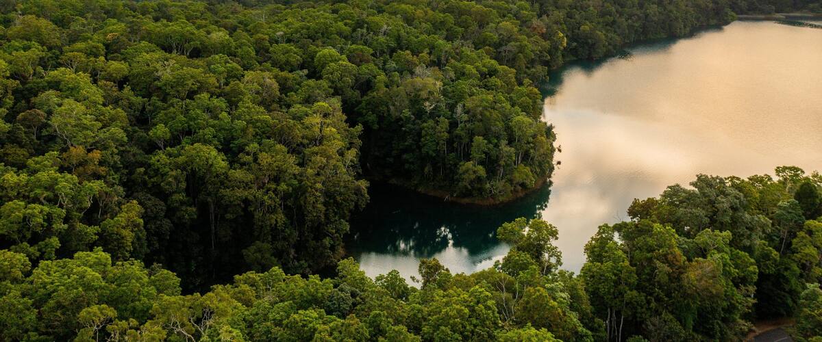 A dense forest surrounding a calm lake with distant hills.