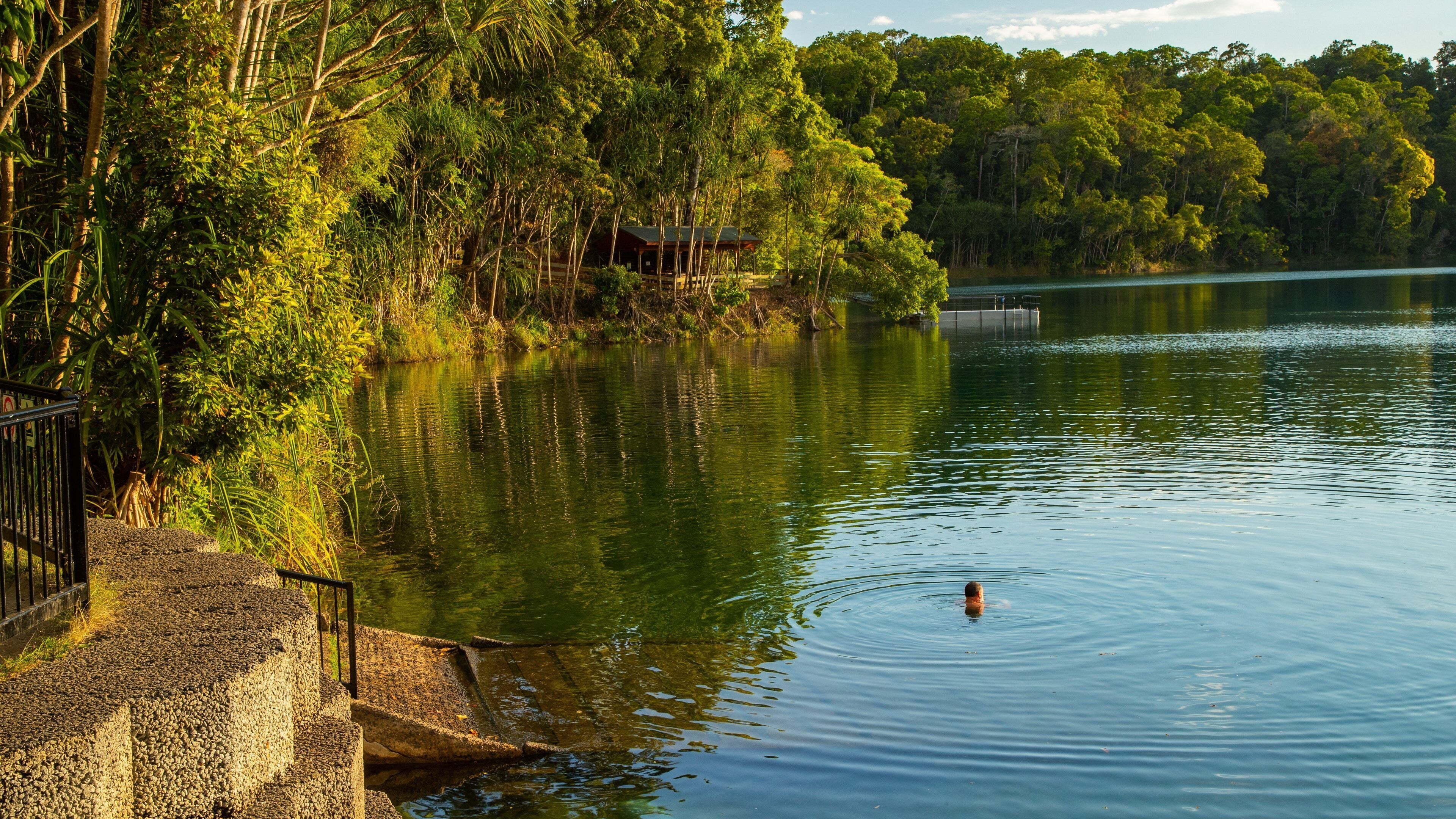 A calm lake surrounded by dense forest, a wooden dock, and a swimmer in the water.