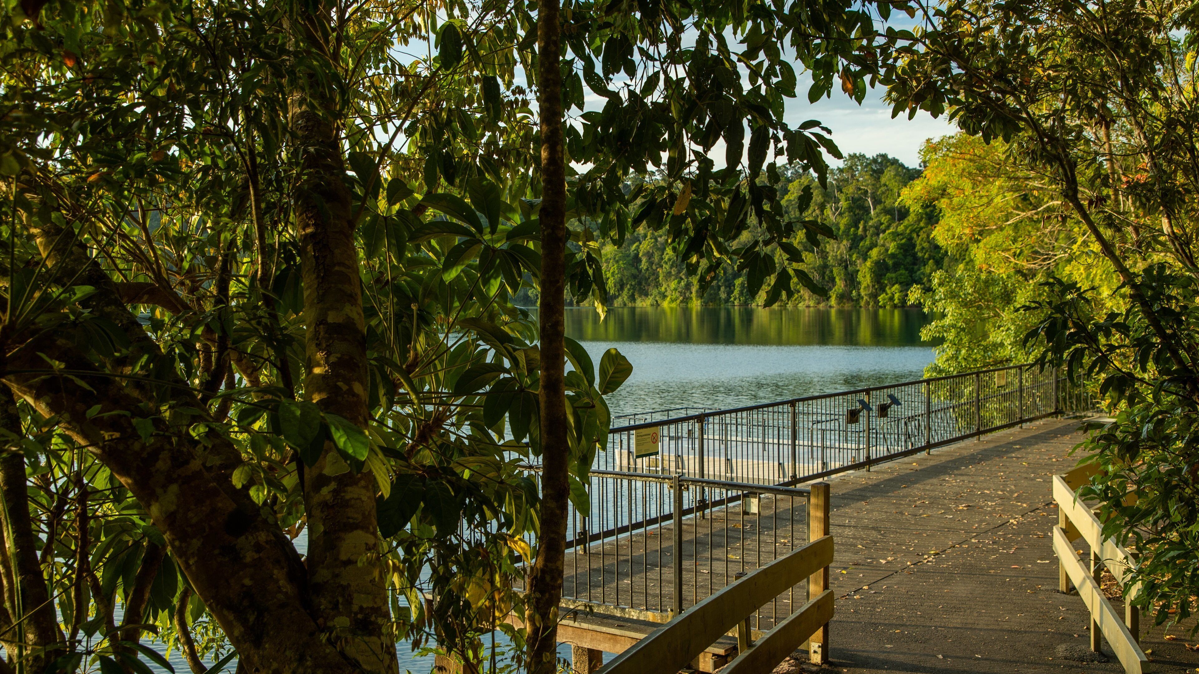 Lake Eacham featuring a lake or waterhole