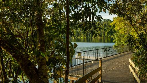 Lake Eacham featuring a lake or waterhole