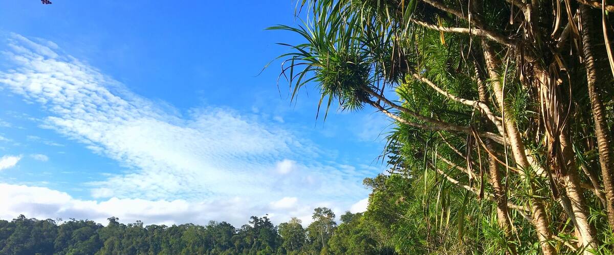Spent many happy summers days of my childhood on these rainforest ringed crater lakes. Now that I live so far away it is wonderful to return and relive these childhood memories.
#green #australia #tropics