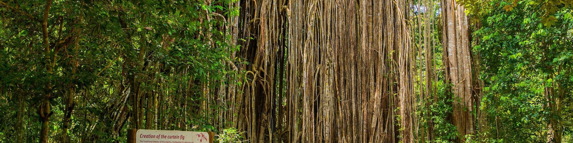 Yungaburra showing rainforest and signage as well as a couple