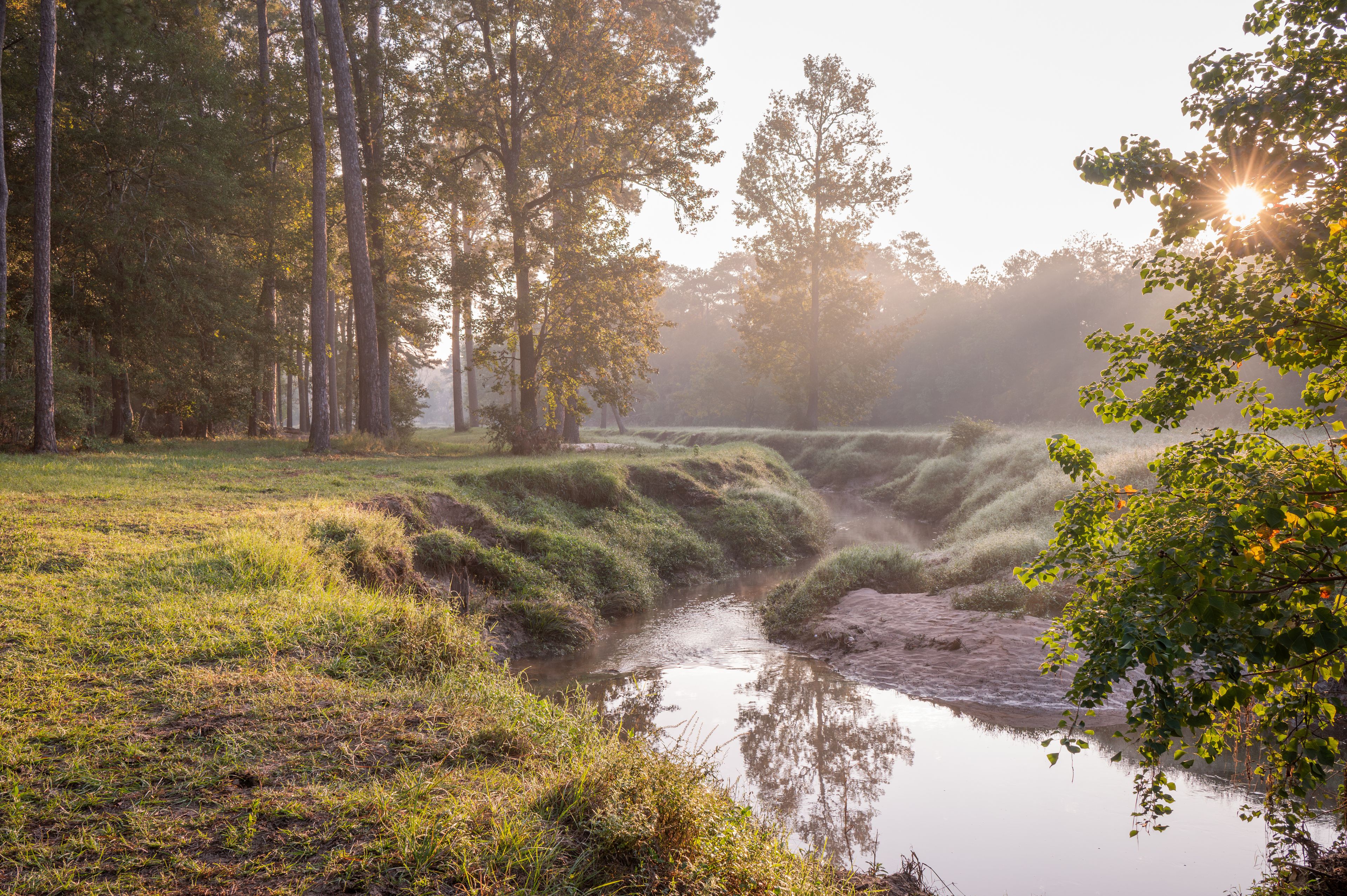 A creek cuts through an East Texas landscape on a cold November morning.