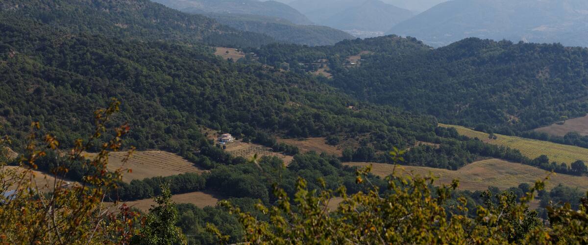 A mountainous landscape with rolling hills and scattered trees.