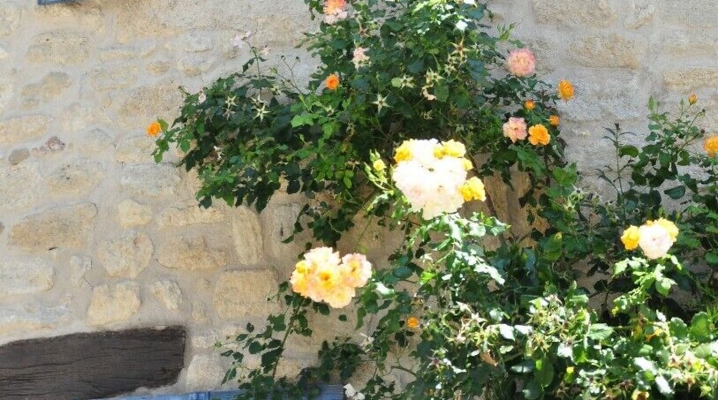 Ansouis is officially a 'plus beaux village' of France. Great care is taken of every house - the locals are clearly proud of the status of their lovely village.