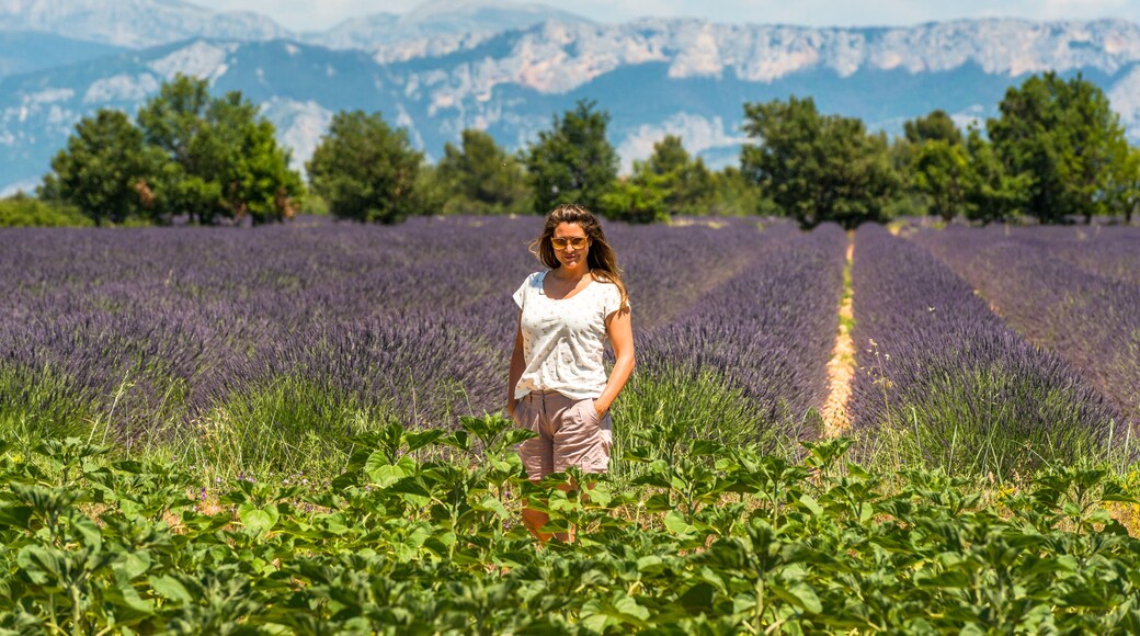 ボディナール シュル ヴェルドン