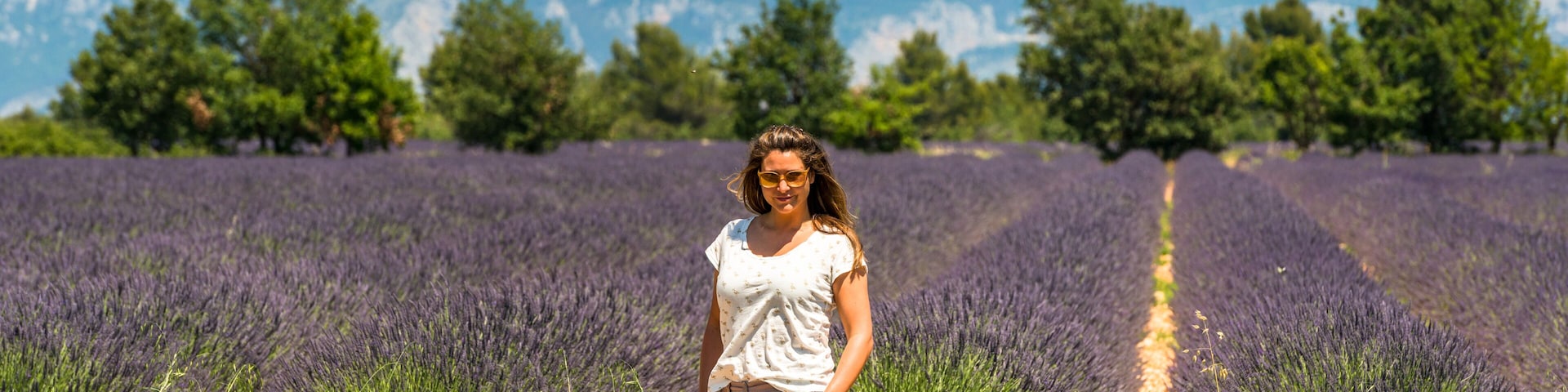 Frankreich, Provence-Alpes-CĂŽte d'Azur, Baudinard-sur-Verdon, Lavendelfelder in der Hochebene von Valensole