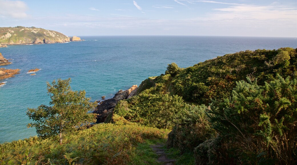 小機器人灣 其中包括 一般的海岸景觀 和 風景圖