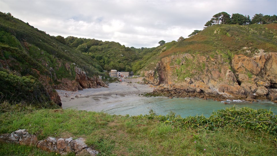 A coastal landscape with a rocky beach, lush greenery, and a building in the distance.