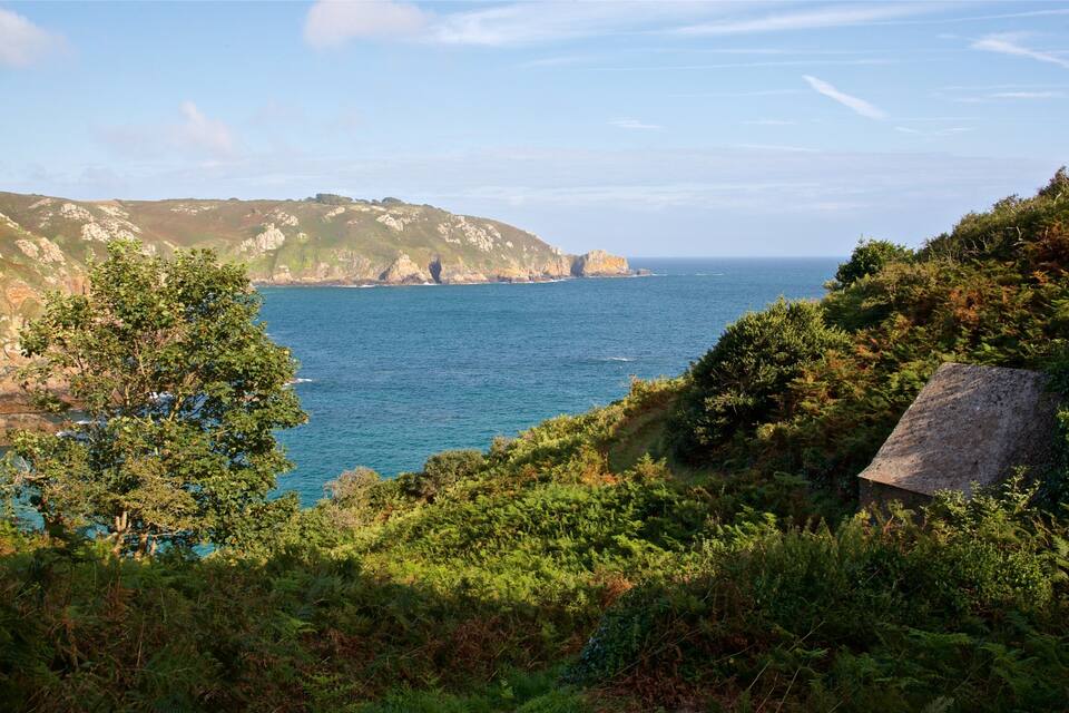 A coastal landscape with rocky cliffs, dense greenery, and a clear blue sea.